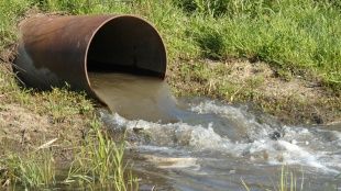 ООО «Ливны Сахар» незаконно сбрасывало сточные воды в реку Сосна