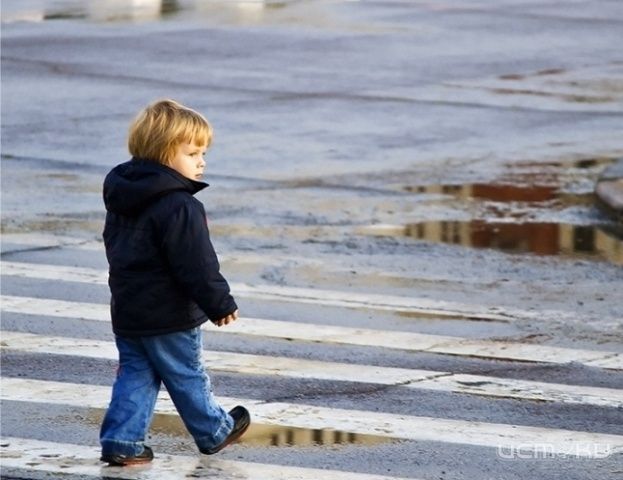 Пешеходные переходы Орла небезопасны Пешеходные переходы Орла небезопасны