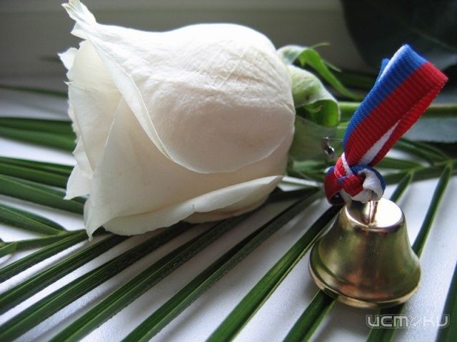Прощание со школой Прощание со школой