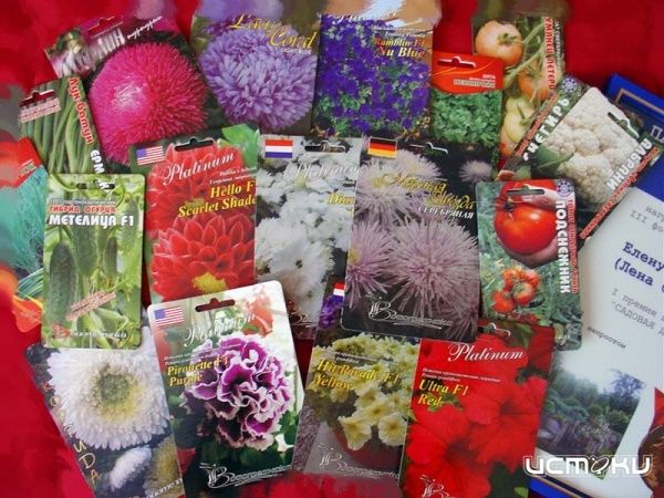 Какие семена нам продают? Какие семена нам продают?