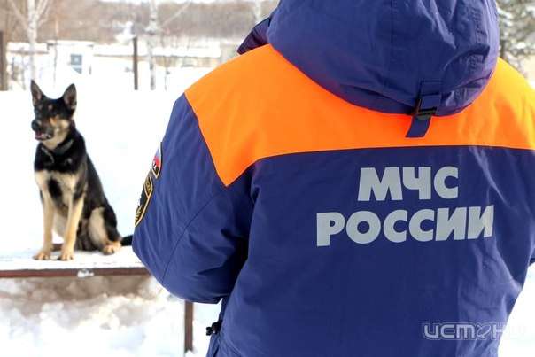 Накануне Нового Года спасатели оказали помощь двум символам года Накануне Нового Года спасатели оказали помощь двум символам года