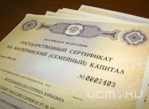 На что тратят материнский капитал? На что тратят материнский капитал?