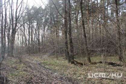 Следственный комитет по Орловской области раскрыл дело об убийстве 24-летней давности  Следственный комитет по Орловской области раскрыл дело об убийстве 24-летней давности