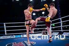 Орел снова увидит поединки W5 Орел снова увидит поединки W5