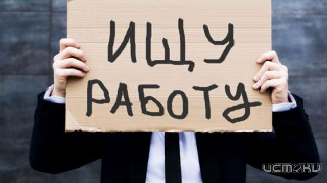 В Орле фиксируется увеличение предложений о работе В Орле фиксируется увеличение предложений о работе