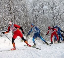 Орловские лыжники откроют сезон 25 декабря