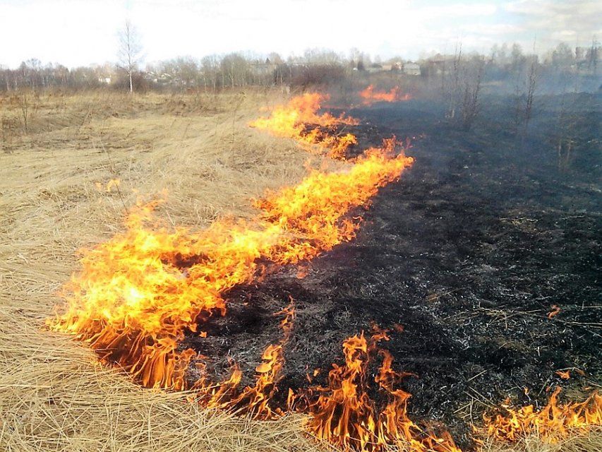 МЧС предупреждает орловчан: сжигание сухой растительности грозит пожарами 