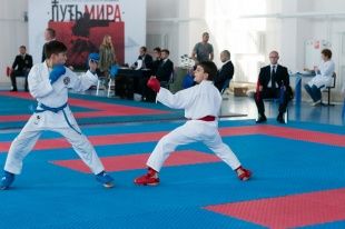 Орловские каратисты привезли 20 медалей со всероссийских соревнований