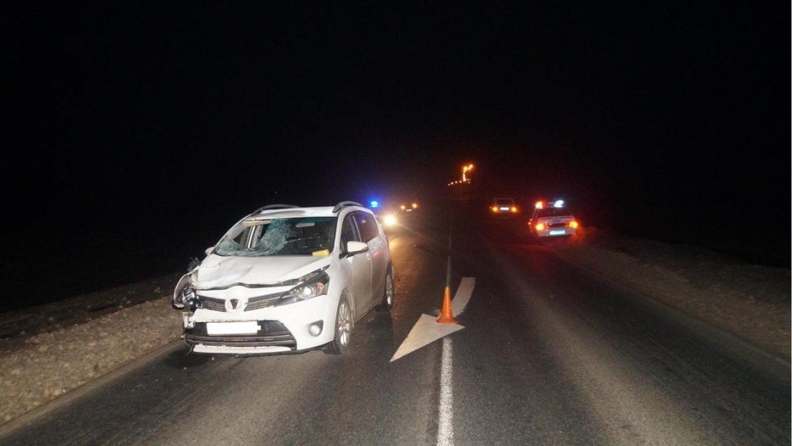 В Орловской области под колесами авто погиб шедший по дороге мужчина
