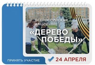 На набережной Оки посадят 450 деревьев и кустарников