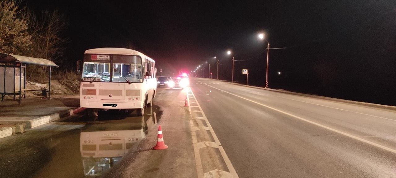 В Орловской области рейсовый автобус насмерть сбил пешехода