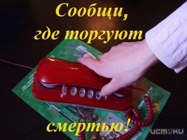 Завершился первый этап акции «Сообщи, где торгуют смертью!» Завершился первый этап акции «Сообщи, где торгуют смертью!»