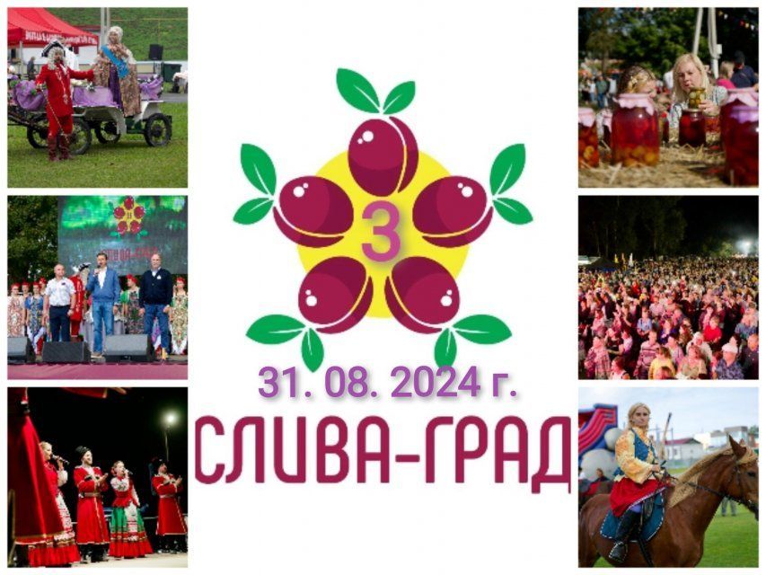 Фестиваль "Слива-град" проведут в этом году в конце лета на Орловщине