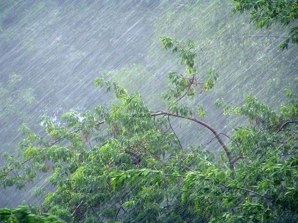 Грозы, дождь и град. В Орловской области испортится погода