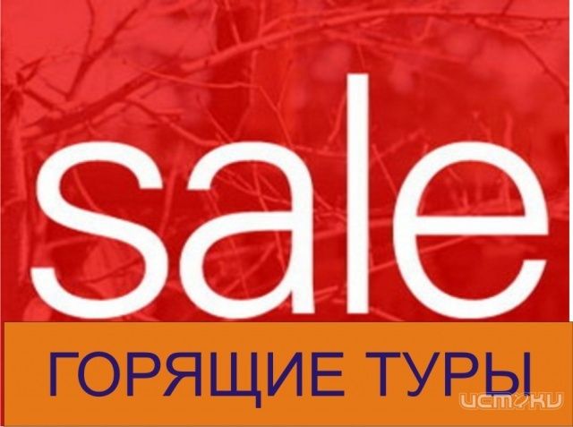Орловчанка пожаловалась на турагентство Орловчанка пожаловалась на турагентство