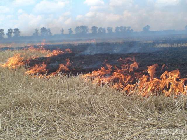 За прошедшие выходные пожарные выезжали на тушение возгораний и пожаров более 300 раз За прошедшие выходные пожарные выезжали на тушение возгораний и пожаров более 300 раз