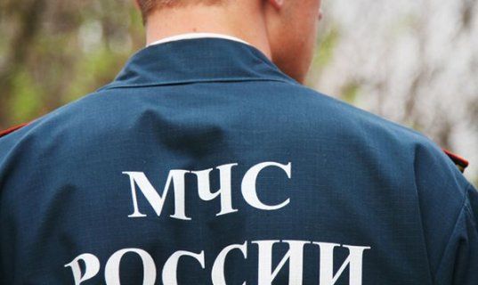 Чрезмерное гостеприимство. Пришлось вызывать спасателей Чрезмерное гостеприимство. Пришлось вызывать спасателей
