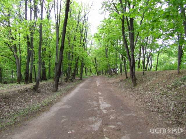 В Орле на благоустройство парка «Ботаника» потратят почти 6 млн рублей В Орле на благоустройство парка «Ботаника» потратят почти 6 млн рублей