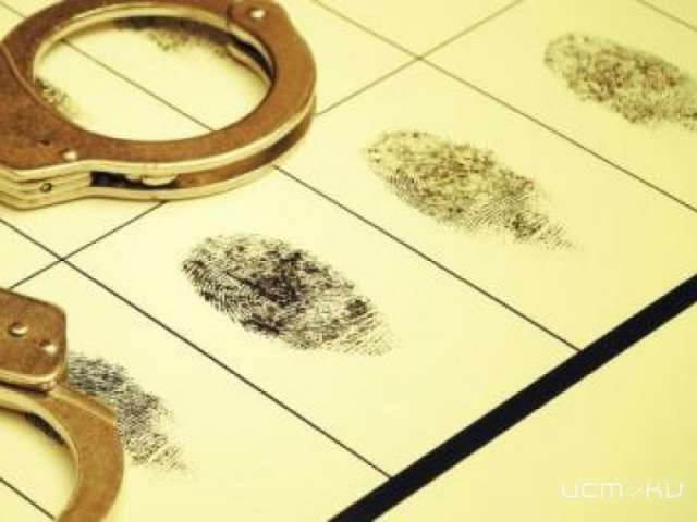 На Орловщине стало на четверть меньше нераскрытых преступлений На Орловщине стало на четверть меньше нераскрытых преступлений