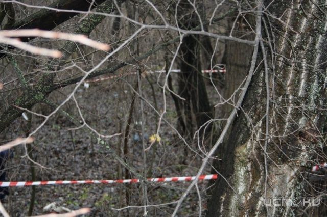 В лесополосе Мценского района обнаружен труп В лесополосе Мценского района обнаружен труп