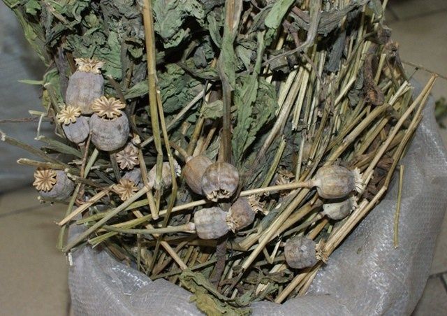 Сотрудники ДПС обнаружили у орловчанина более 100 граммов маковой соломы Сотрудники ДПС обнаружили у орловчанина более 100 граммов маковой соломы