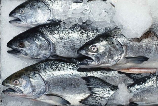 Продукция «Даров моря» по жалобе потребителя подверглась проверке Роспотребнадзора Продукция «Даров моря» по жалобе потребителя подверглась проверке Роспотребнадзора