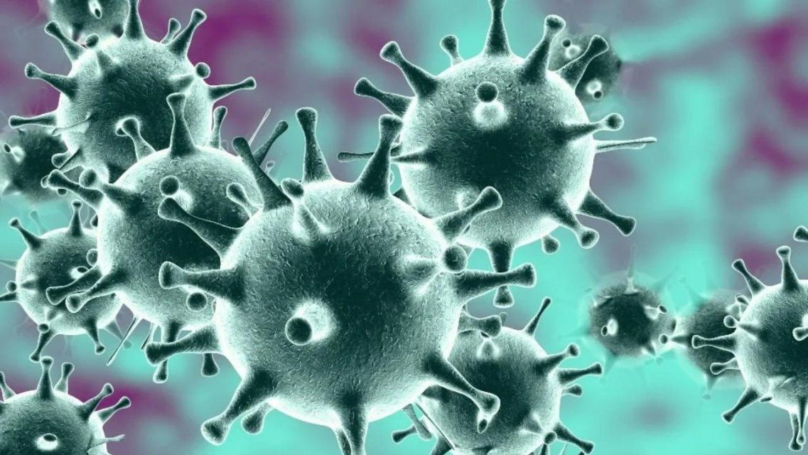 В Орловской области зарегистрировано ещё 3 заболевших коронавирусом