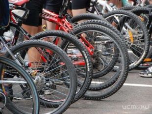 В Орловской области пройдут всероссийские соревнования по велосипедному спорту