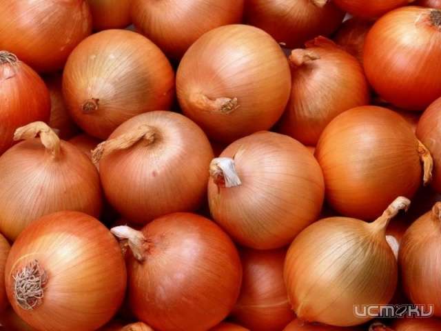 За прошедший месяц цены на продукты поднялись более чем на 2 процента За прошедший месяц цены на продукты поднялись более чем на 2 процента