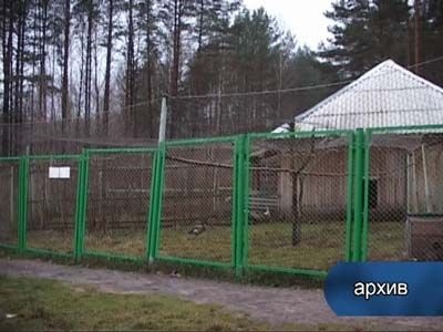 Прокуратура бдит Прокуратура бдит