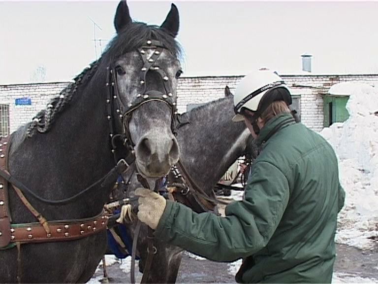Лошадим бегают резво Лошадим бегают резво