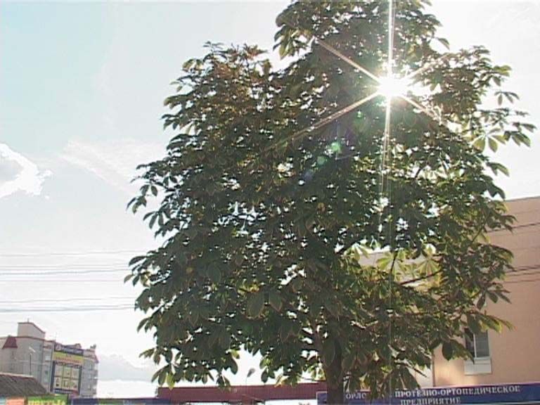 Об Орловщине за 90 секунд Об Орловщине за 90 секунд