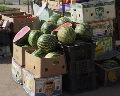 Опасные арбузы Опасные арбузы