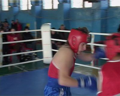 Соревнования по боксу Соревнования по боксу
