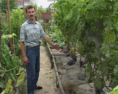 Человек-огород Человек-огород