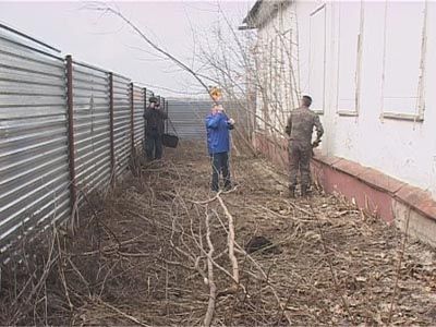 Субботник Субботник