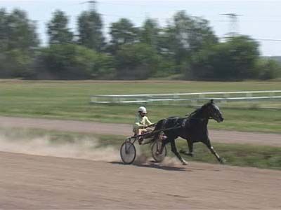 Соревнования на ипподроме Соревнования на ипподроме