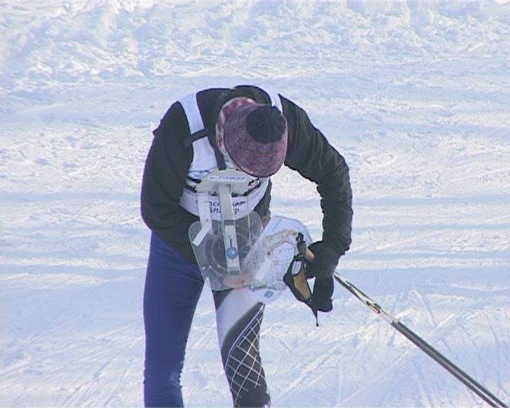 лыжи, спортивное ориентирования