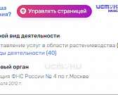 Как воды в рот набрали. На вопросы о проблемах с Красным мостом чиновники предпочитают не отвечать Как воды в рот набрали. На вопросы о проблемах с Красным мостом чиновники предпочитают не отвечать