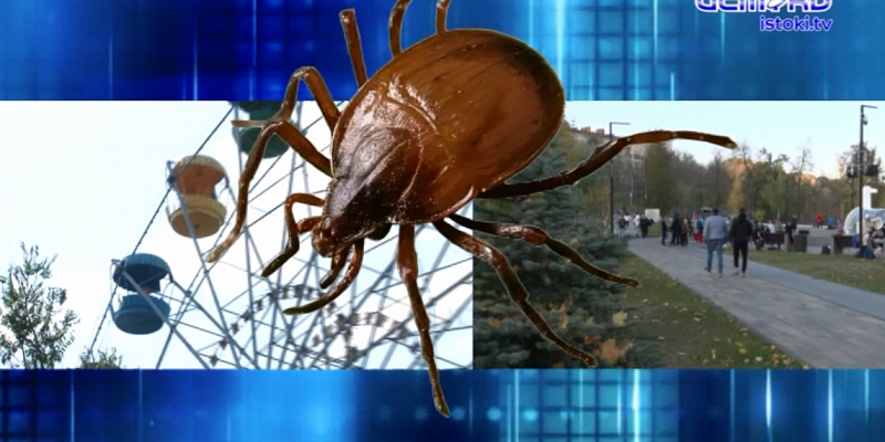 Детский и Городской парки в Орле закроют для посещения Детский и Городской парки в Орле закроют для посещения