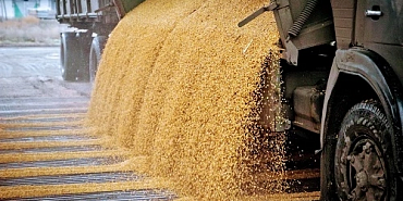 Россельхознадзор Подкарантинная продукция  контроль Россельхознадзор проконтролировал более 200 тысяч тонн подкарантинной продукции в Орловской и Курской областях при внутрироссийских перевозках