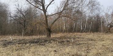 Управление Россельхознадзора по Орловской и Курской областям Московскую организацию заставили привести в порядок орловские земли