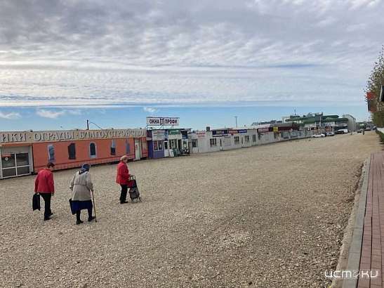Петицию против спила деревьев в Орле запустили в соцсетях Петицию против спила деревьев в Орле запустили в соцсетях