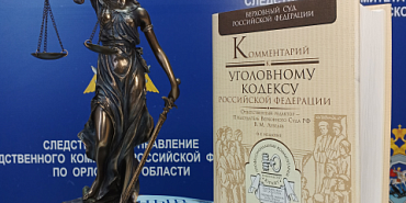 Следственный комитет  штраф мошенничество Экс-директор осуждена за мошенничество при поставках в Орловский юридический институт МВД