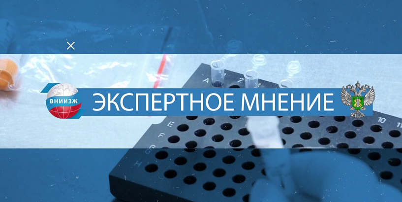 Экспертное мнение