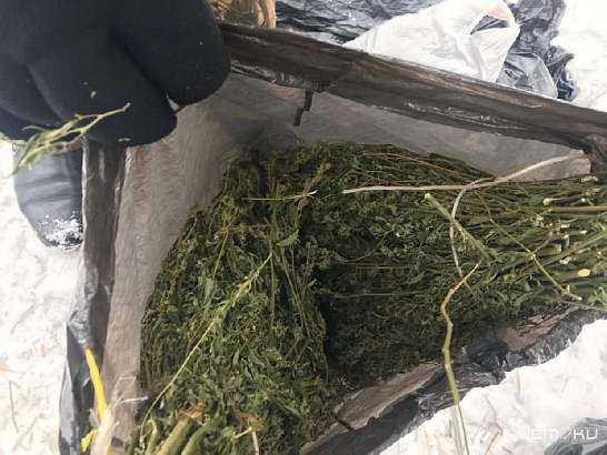 3 кг марихуаны нашла полиция в тайнике жителя Новосильского района 3 кг марихуаны нашла полиция в тайнике жителя Новосильского района