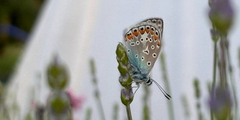 опрос орловчан одиночество Орловчане не боятся быть одни