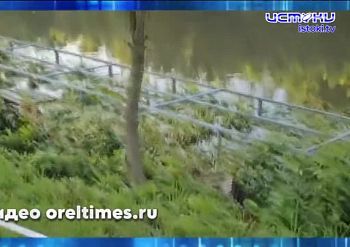 Спешите окунуться в атмосферу русской классики на Всероссийском Тургеневском празднике! Спешите окунуться в атмосферу русской классики на Всероссийском Тургеневском празднике!