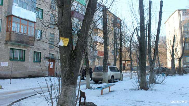 Орловчане просят избавить дворы от гнилых деревьев Орловчане просят избавить дворы от гнилых деревьев