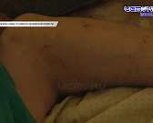 В Орле полиция «накрыла» наркопритон. Располагался он в Заводском районе В Орле полиция «накрыла» наркопритон. Располагался он в Заводском районе